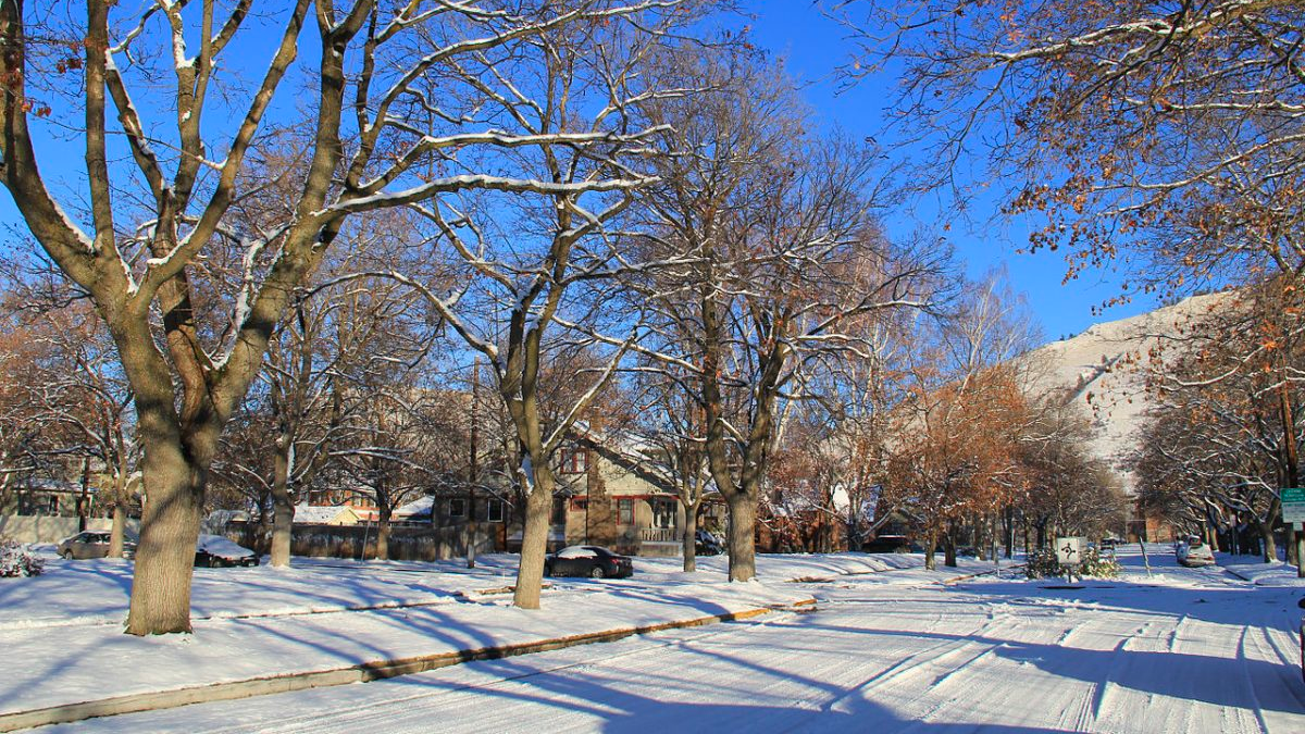 Anti-single-family-zoning bill gets tepid reception