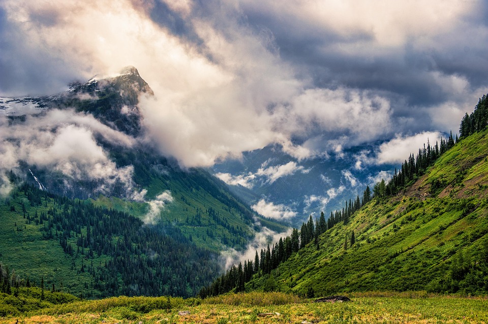Montana